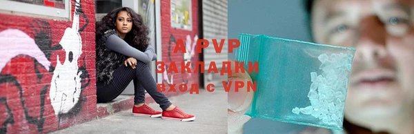 СК Волосово