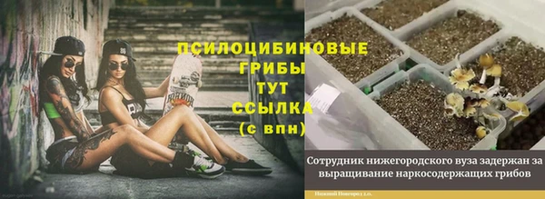СК Волосово