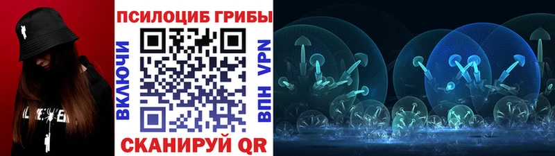 хочу наркоту  Нея  Псилоцибиновые грибы Psilocybe 